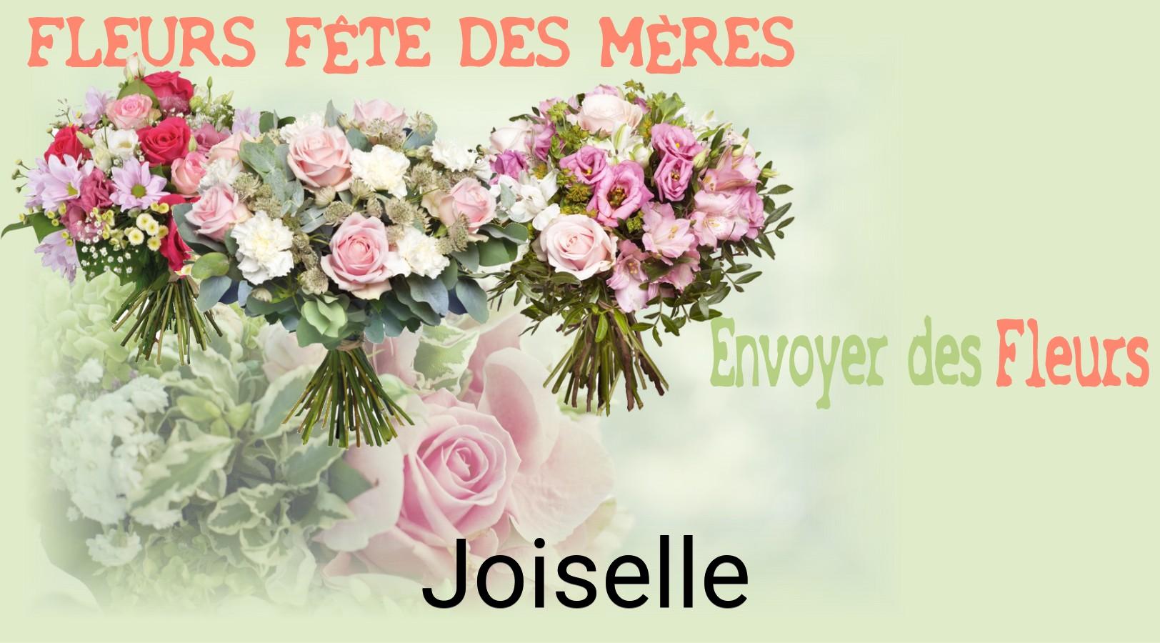 Bouquet de Fête des Mères livré à Joiselle